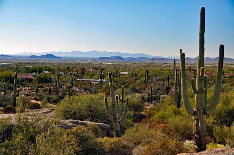 pinnacle peak